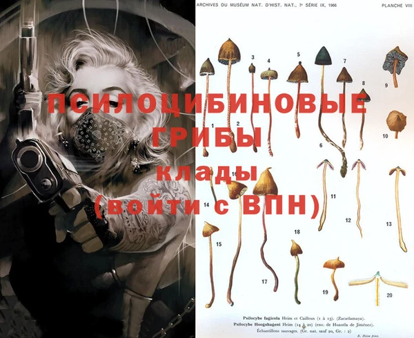 ПСИЛОЦИБИНОВЫЕ ГРИБЫ Балахна