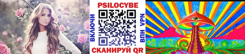 kraken как войти  что такое   Шагонар  Псилоцибиновые грибы Magic Shrooms 